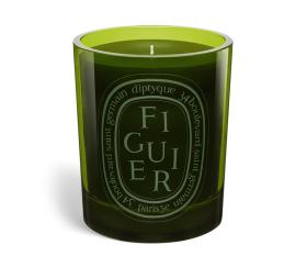 Green Candle Figuier 